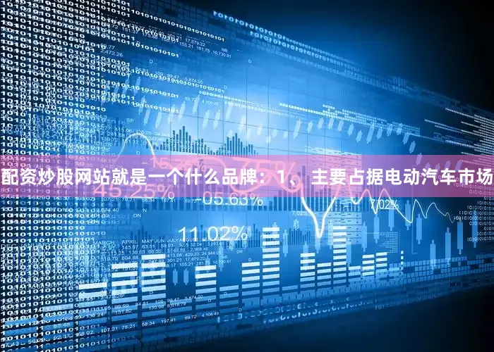 配资炒股网站就是一个什么品牌：1、 主要占据电动汽车市场