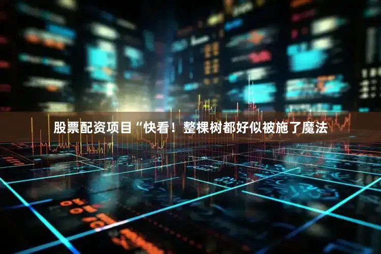 股票配资项目“快看！整棵树都好似被施了魔法
